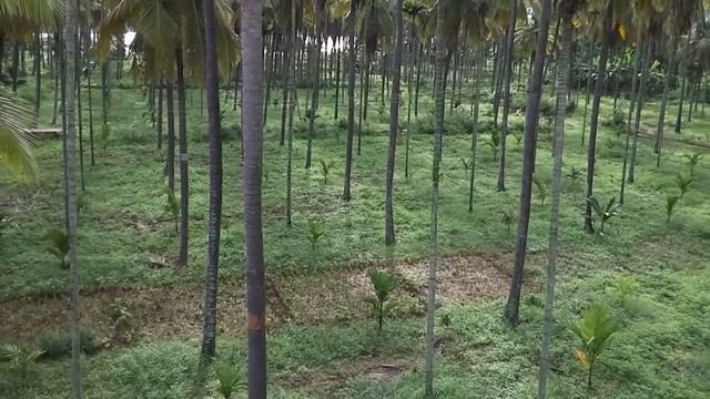 DJI tello drone video смотреть онлайн