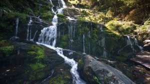 Шум водопада Музыка, падающей воды Отдых под звук водопада Каскад Релакс Звуки природы Онлайн