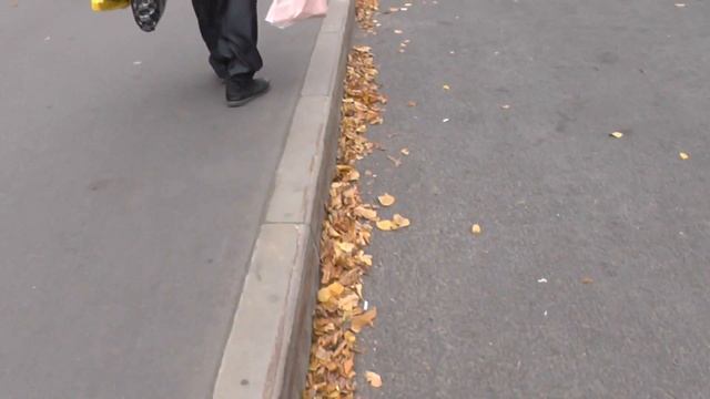 Работа Комитета по Транспорту, Дорожных служб и Дирекции в Санкт - Петербурге на Индустриальном. смотреть онлайн