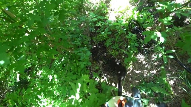 Откапываю трактор по частям. Коп 2019 смотреть онлайн