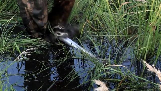 Тесты алюминиевого якоря для лебедки #1 Болото с илистым дном. смотреть онлайн