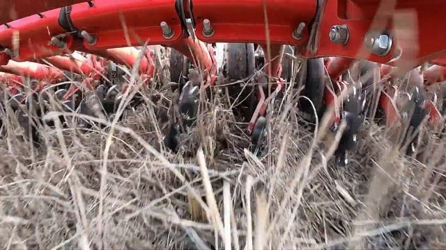 Horsch Avatar. Работа очистителей ряда. Анонс будущих видео. смотреть онлайн