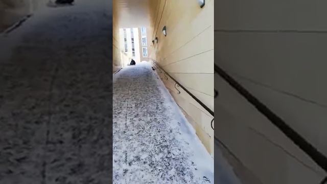 ЭКСТРЕМАЛЬНЫЕ ВИДЫ СПОРТА. EXTREME SPORTS. EXTREMSPORTARTEN.