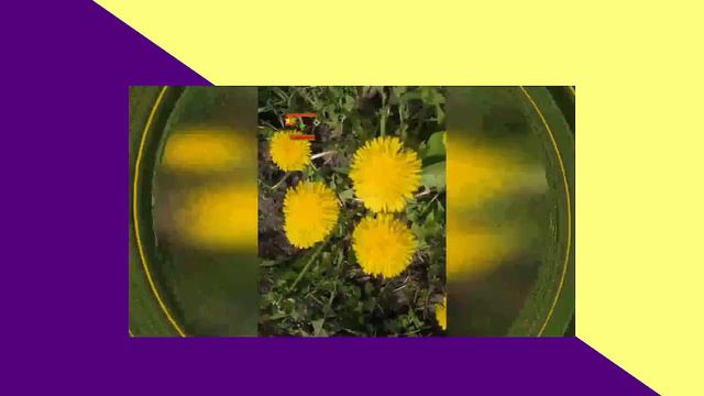 Релакс на час цветы которые рядом relaxation for an hour смотреть онлайн