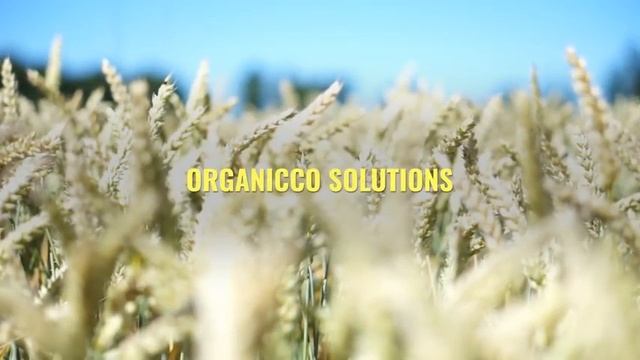 ORGANICCO: GREEN-TECH PROVEN TECHNOLOGY смотреть онлайн