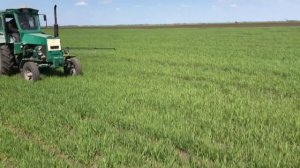 Ячмень Озимый и Яровой. Листовая подкормка Карбамидом и Гербицидом.