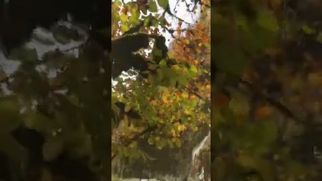 Водопад мужские слёзы. Абхазия. смотреть онлайн