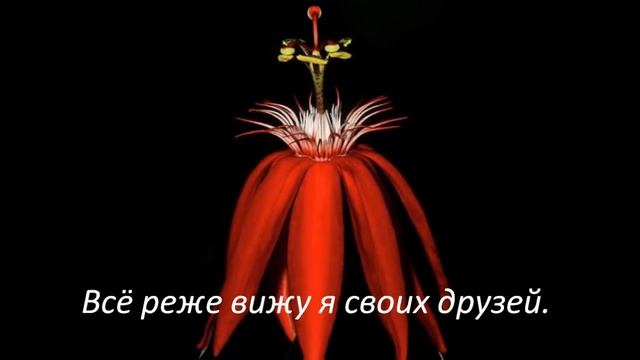 Моим подружкам в день 8 марта!!! смотреть онлайн