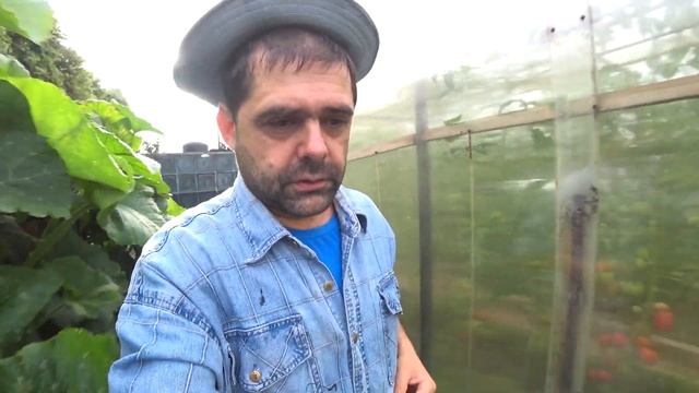 Немного лета зимой: пчелы, хмель, тыквы, томаты... смотреть онлайн