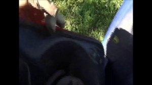 Nissan Note 1.6 снимаем заднюю фару.