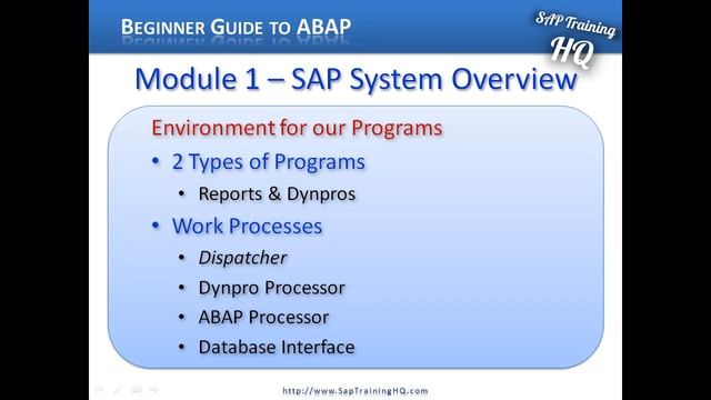 SAP ABAP Training - SAP Environment For Our ABAP Programs смотреть онлайн