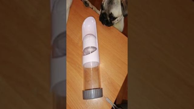 Портативная бутылка для воды для собак, миска, поилка для домашних животных недорого с Али смотреть онлайн