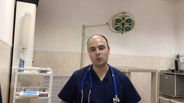 Почему кошка перестала ходить в лоток, кошка ходит мимо лотка смотреть онлайн