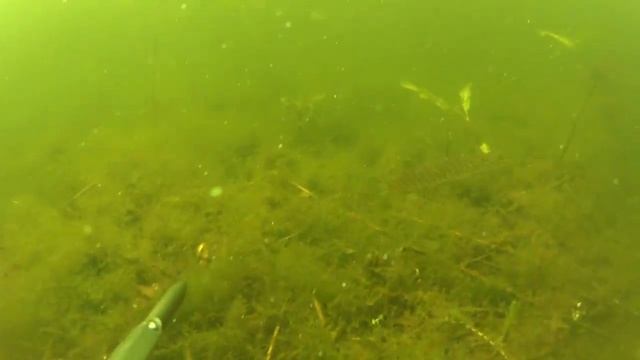 Озера Сито смотреть онлайн