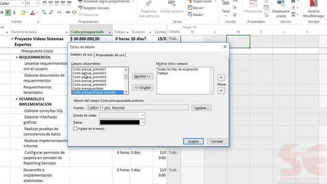 5.1. Recurso Presupuesto MS Project смотреть онлайн