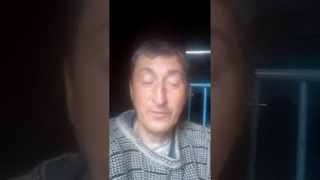 песня на стихи Сергея Есенина.муза смотреть онлайн