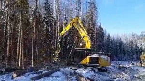 Работа харвестера на базе экскаватора в лесу!