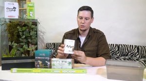 Реснитчатый Бананоед. Все что нужно знать для содержания дома