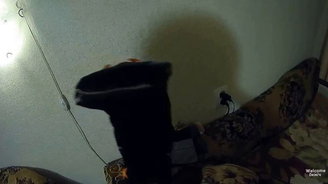 Вася Змей - 2й пилотный эпизод