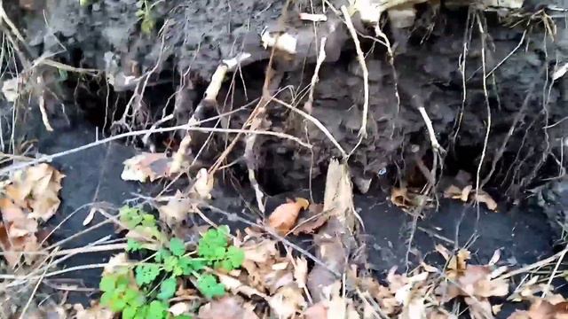 НАШЁЛ МЕДАЛЬ СССР СРЕДИ МУСОРА #коп смотреть онлайн