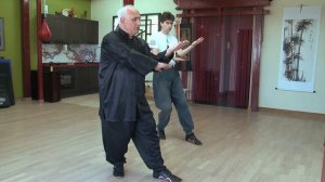 Юн Чун (Вин Чун), форма «Змея». Валерий МАРТЫНОВ