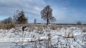 Зацепин "Берег моря"