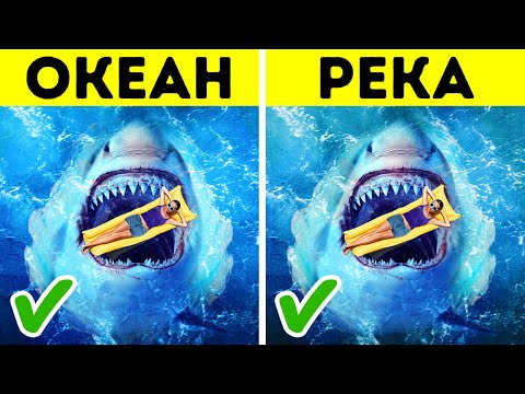 8 вещей, которые акулы делают для вас, а вы и не знаете смотреть онлайн