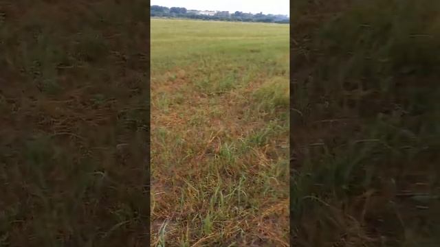 3 копейки 1982г Коп Хабаровск смотреть онлайн