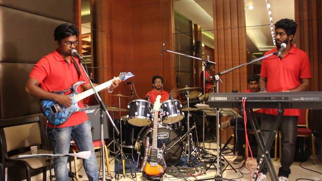 SRV - Mary had a little lamb cover by Musicman смотреть онлайн