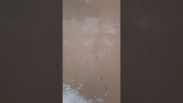 Потоп в Пушкино на Серебрянке. смотреть онлайн