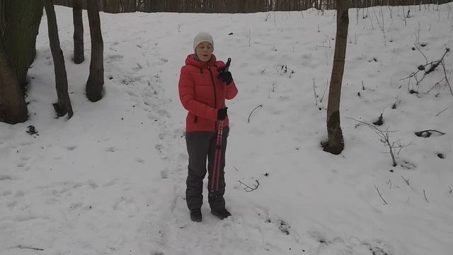 Скандинавская (Северная) ходьба. Развитие гибкости и координации. смотреть онлайн