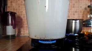 Мицелий вырос - размножаем его. Набиваем блоки, заражаем блоки мицелием. Рост грибов. Снимаем урожа