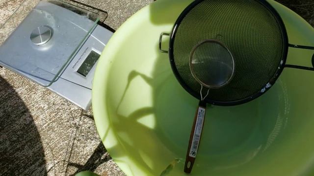 Как быстро растет ряска? смотреть онлайн