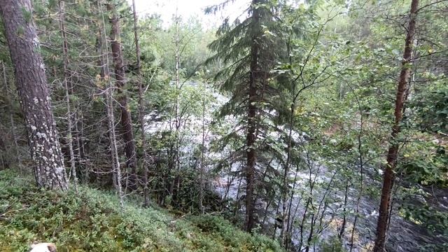 #41 Кичаны | Княжегубско - Иовско - Кумское кольцо на байдарке 2021 смотреть онлайн