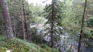 #41 Кичаны | Княжегубско - Иовско - Кумское кольцо на байдарке 2021