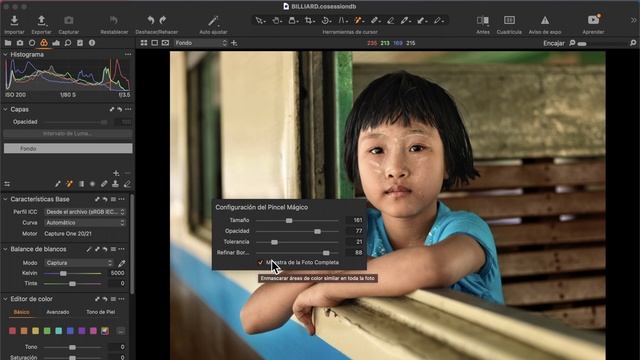 TRUCO CAPTURE ONE. ?PINCEL MÁGICO [ATAJO MAGIC BRUSH] смотреть онлайн