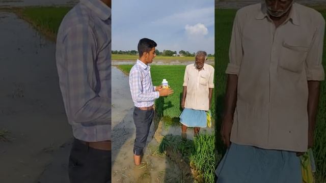Agrolizer 82 result Feedback || #Agroveera_result || #Sabir_ali_khan || Smartvalue смотреть онлайн