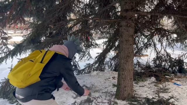 Пункт 89. Обнять дерево. Практика медитации и безграничное спокойствие. Природа обнимает природу. смотреть онлайн