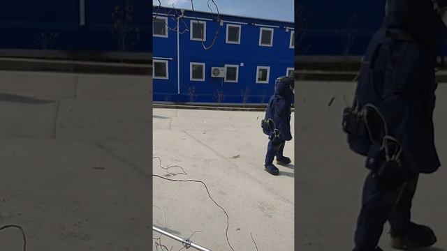 выступление кинологов на день открытых дверей! (беркут) смотреть онлайн