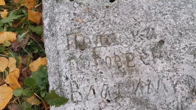 Древнейшее кладбище Воронежа! Место силы. смотреть онлайн