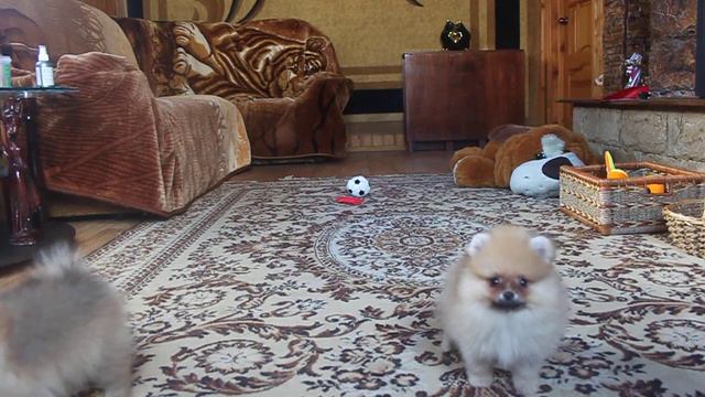 Белоснежка и Барбара Из Усадьбы Андреевых смотреть онлайн