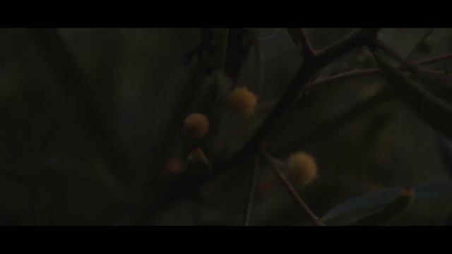 Pushing the DJI Ronin S to its LIMITS! |Canon 80D + 24-70 F2.8 II| смотреть онлайн