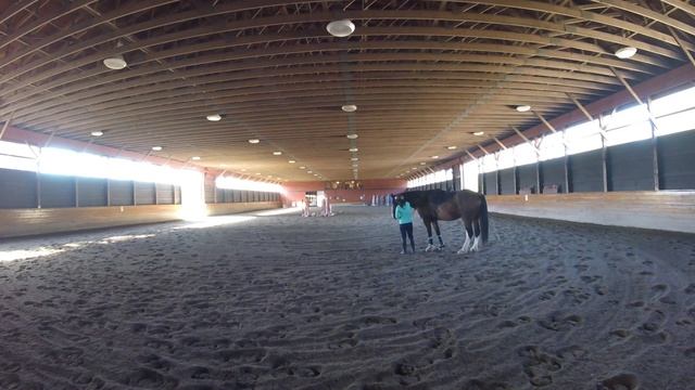 Bentley Part 4 9/25/19 смотреть онлайн