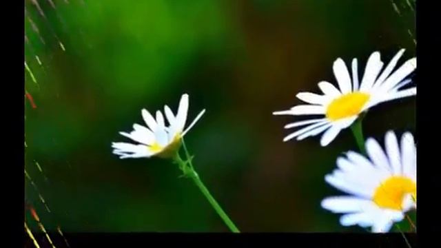 Евгений Самаркин - ИЕТЬ, ИЕТЬ mp4 смотреть онлайн