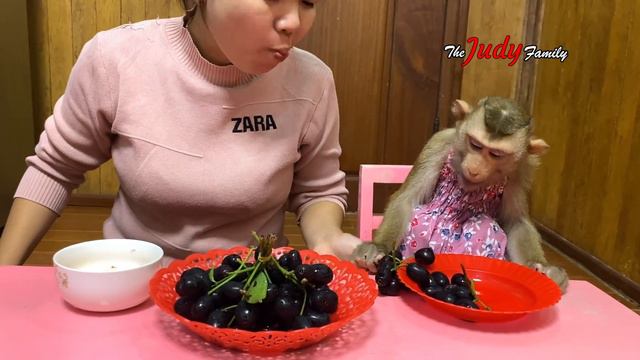 Judee Makes A Genuine Chilli Dipping Salt For European Plum смотреть онлайн