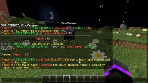 Minecraft Report Plugin