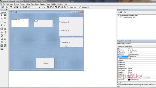 Visual Basic Tutorial 3: Check Box Tool