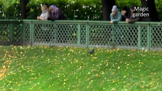 Блюз для двоих, Эдгар Туниянц. Летний Сад, Санкт-Петербург. смотреть онлайн