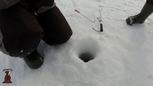 Лиса гуляет среди жерлиц и рыбаков Рыбалка в Марте Щука на жерлицы на реке Сок Самарская область смотреть онлайн