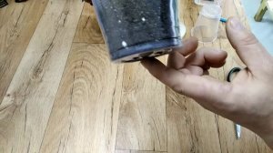 Как УКОРЕНЯЕТСЯ БЕГОНИЯ? Размножение ЧЕРЕНКОВАНИЕМ!